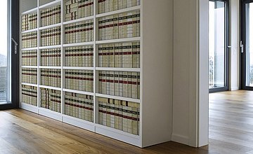 Antique Vellum Book Spines