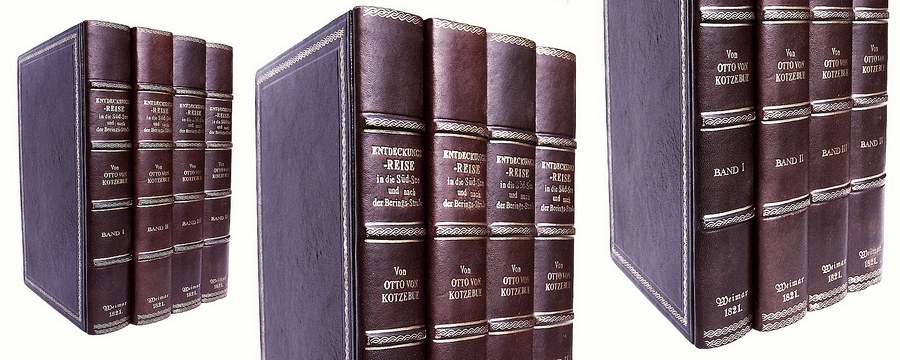 Fake Faux Book Leather Antique Spines