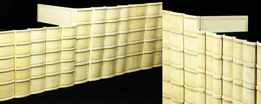 Genuine Leather Book Spines for Bookshelf