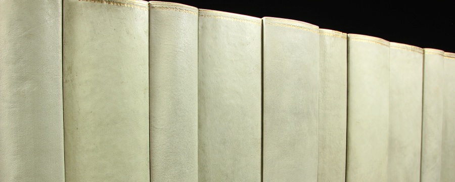 Genuine Leather Book Spines for Bookshelf