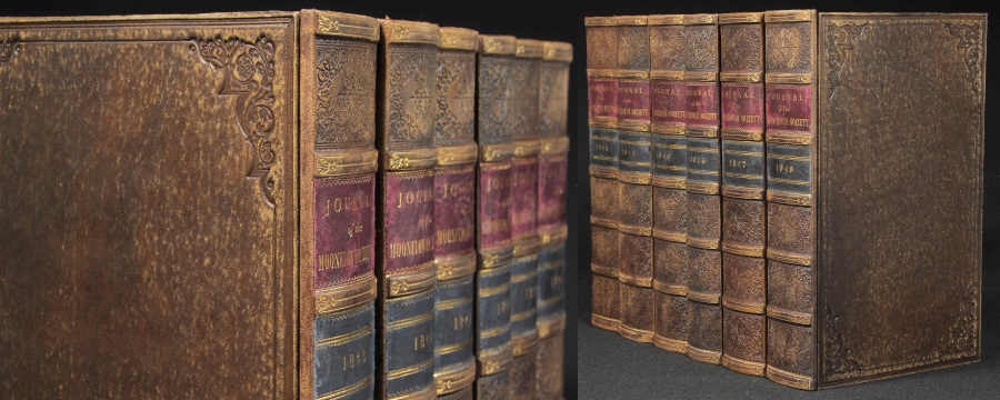 Genuine Leather Book Spines for Bookshelf