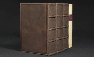 Antique Classics Leather fake Books