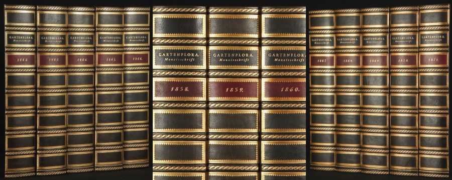 Antique Spines