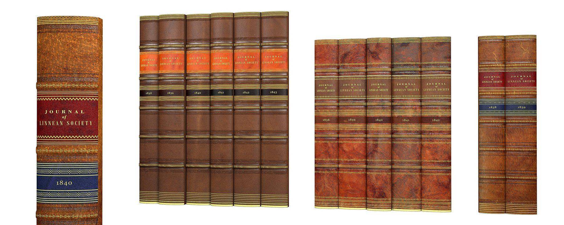 Decorative Book Box